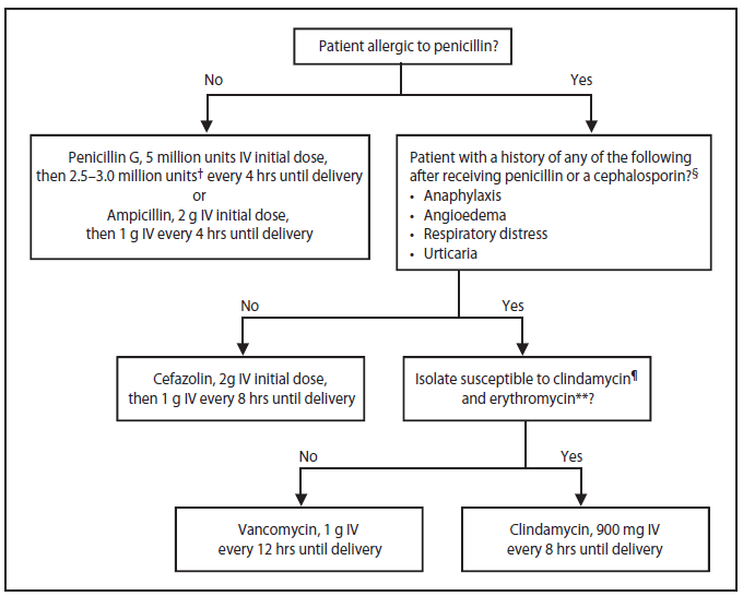 The figure presents an algorithm for clinicians to use in determining which regimen to follow for administering intrapartum antibiotic prophylaxis to prevent early-onset GBS disease.