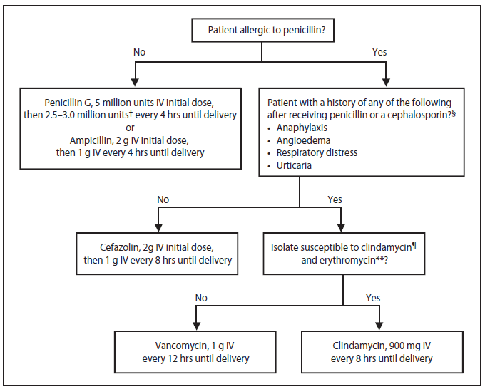 Prevention Of Perinatal Group B Streptococcal Disease