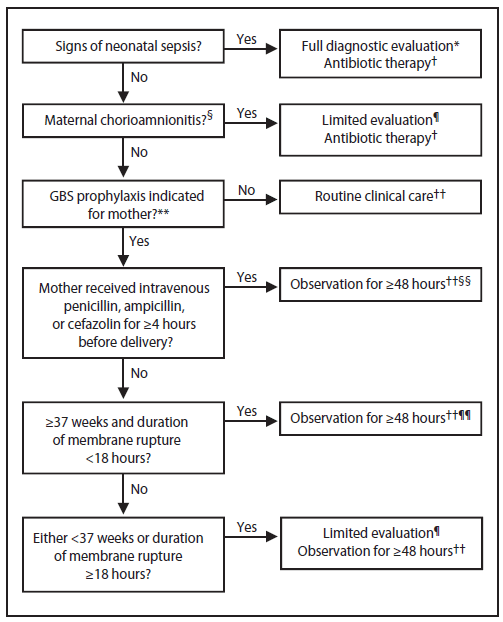The figure presents an algorithm for clinicians to use for secondary prevention of early-onset group B streptococcal (GBS) disease among newborns.