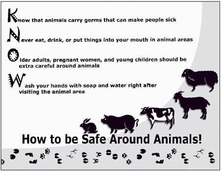 The figure is a poster to be exhibited at animal petting zoos that provides basic instructions to visitors for avoiding illnesses while coming in contact with animals.