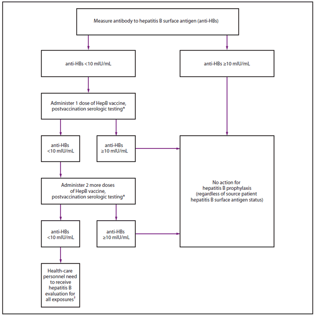 This figure provides guidance for pre-exposure evaluation of health-care personnel who have been completely vaccinated with ≥3 dose HepB vaccine series and who have not had postvaccination serologic testing.