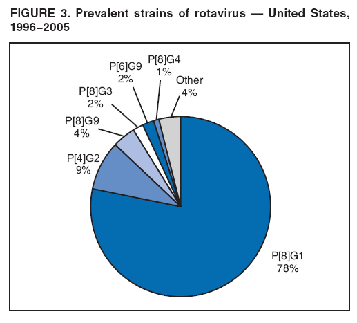 FIGURE 3. Prevalent strains of rotavirus — United States, 1996−2005