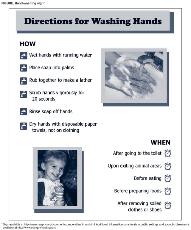Directions for washing hands
How
Wet hands with running water
Place soap into palms
Rub together to make a lather
Scrub hands vigorously for 20 seconds
Rinse soap off hands
Dry hands with disposable paper towels, not on clothing
When
After going to the toilet
Upon exiting animal areas
Before eating
Before preparing foods
After removing soiled clothes or shoes