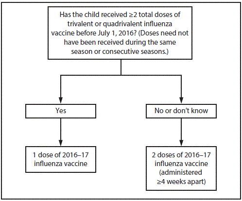 The figure depicts the influenza vaccine dosing algorithm for children aged 6 months through 8 years as recommended by the Advisory Committee on Immunization Practices for the 2016–17 influenza season in the United States. If the child received two or more total doses of trivalent or quadrivalent influenza vaccine before July 1, 2016 (doses need not have been received during the same season or consecutive seasons), then the child should receive one dose of 2016–17 influenza vaccine. If the child did not receive two or more total doses of trivalent or quadrivalent influenza vaccine before July 1, 2016 or if it is not known whether the child received two doses, then the child should receive two doses of 2016–17 influenza vaccine, administered four or more weeks apart.