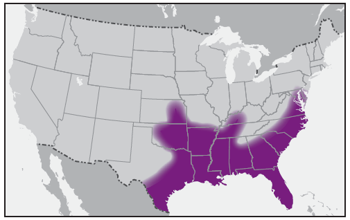 This figure is a map showing the approximate U.S. distribution of Amblyomma maculatum (Gulf Coast tick).