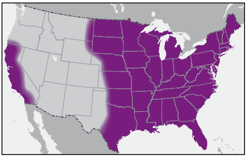 This figure is a map showing the approximate U.S. distribution of Dermacentor variabilis (American dog tick).