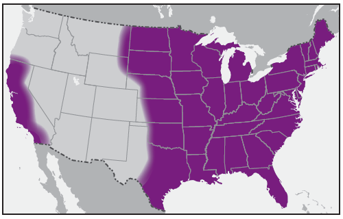 rr6502a1f3.gif This figure is a map showing the approximate U.S. distribution of Dermacentor variabilis (American dog tick).