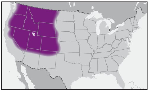 A This figure is a map showing the approximate U.S. distribution of Dermacentor andersoni (Rocky Mountain wood tick).