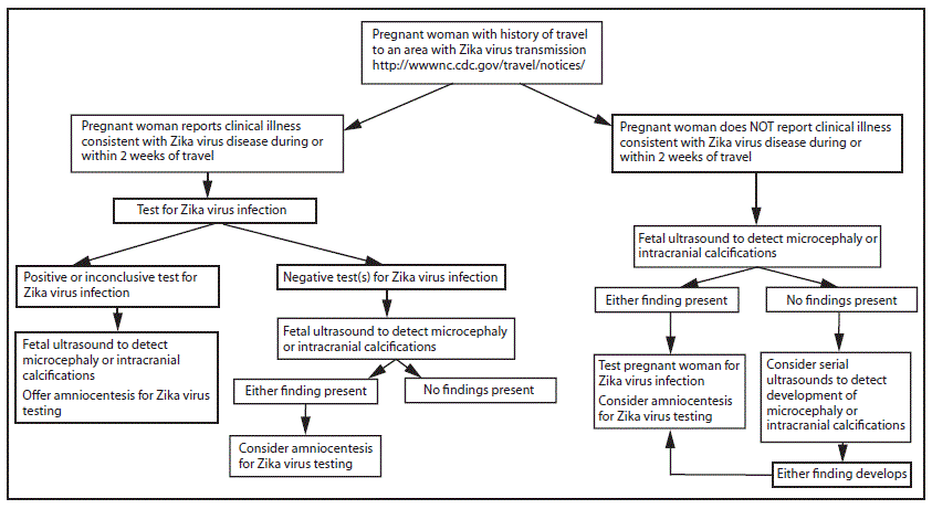 The figure above is a flow chart showing interim guidelines for a testing algorithm for a pregnant woman with history of travel to an area with Zika virus transmission, with or without clinical illness consistent with Zika virus disease.