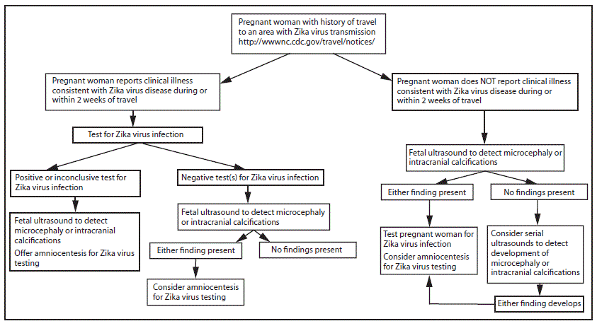 Zika Testing Algorithm Interim Guidelines for Pregnant Women During a Zika Virus Outbreak ...