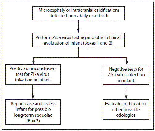 m6503e3f1.gif The figure above is a flowchart showing interim guidelines for the evaluation and testing of infants with microcephaly or intracranial calcifications whose mothers traveled to or resided in an area with Zika virus transmission during pregnancy.