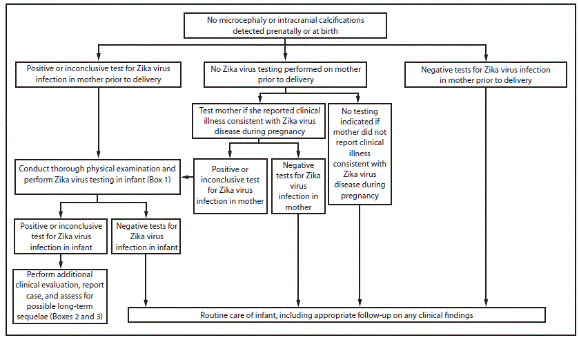 m6503e3f2.gif The figure above is a flowchart showing interim guidelines for the evaluation and testing of infants without microcephaly or intracranial calcifications whose mothers traveled to or resided in an area with Zika virus transmission during pregnancy.