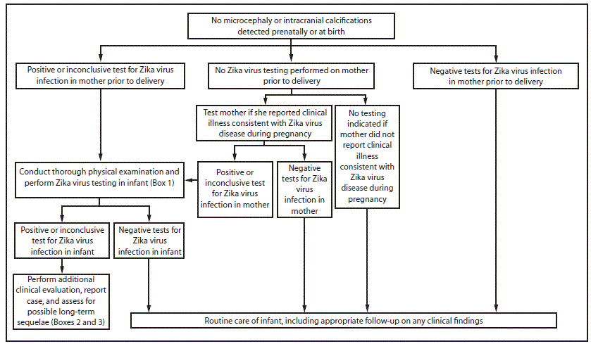 The figure above is a flowchart showing interim guidelines for the evaluation and testing of infants without microcephaly or intracranial calcifications whose mothers traveled to or resided in an area with Zika virus transmission during pregnancy.
