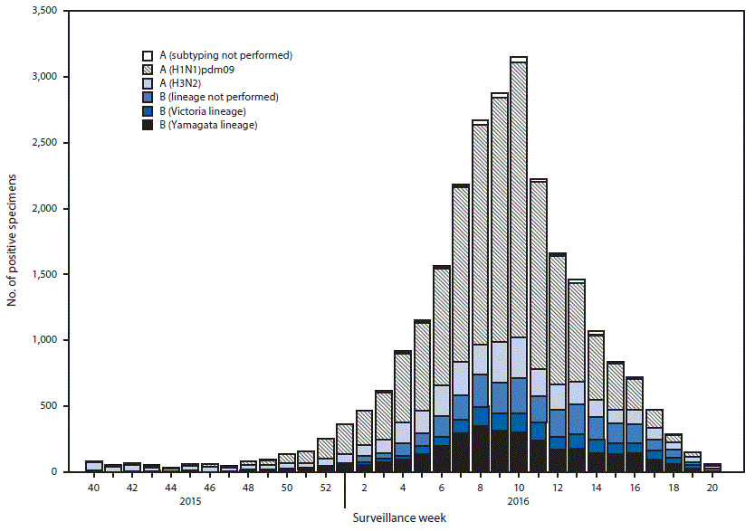 The figure above is a histogram showing the number of tests positive for influenza reported to CDC by public health laboratories, by virus subtype/lineage and surveillance week, in the United States during the 2015–16 influenza season.