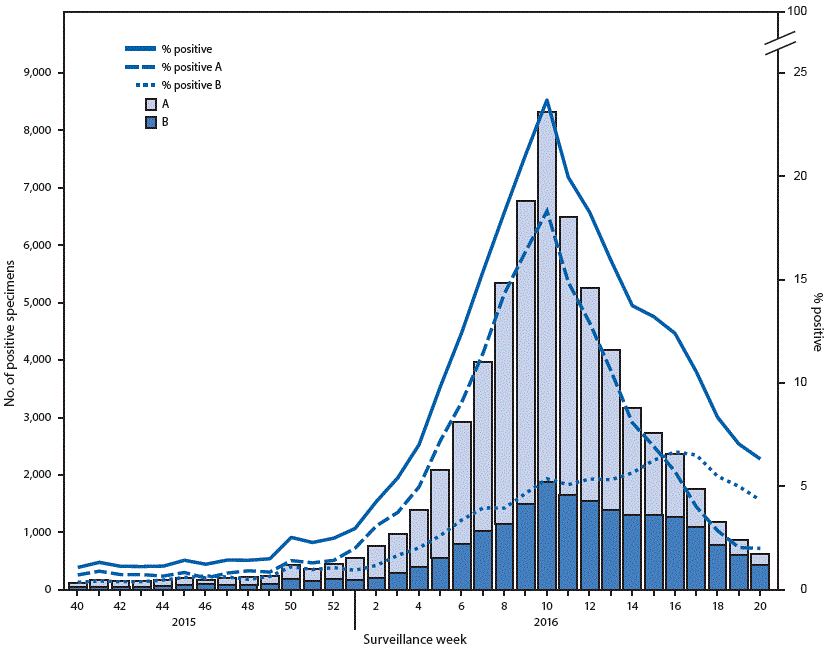 The figure above is a histogram showing the number and percentage of respiratory specimens testing positive for influenza reported by clinical laboratories, by type and surveillance week, in the United States during the 2015–16 influenza season. 