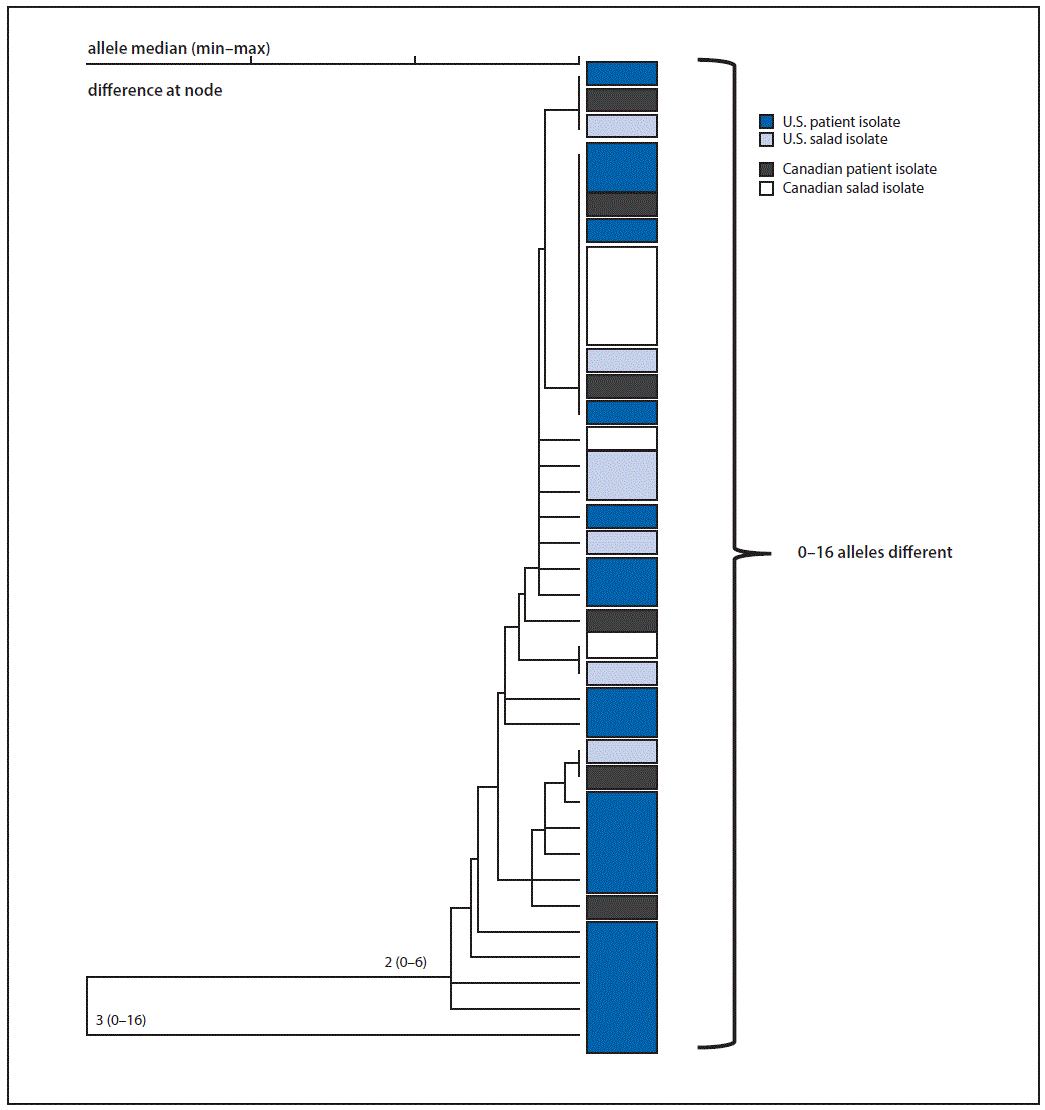 The figure above is a phylogenetic tree by whole-genome multilocus sequence typing of Listeria monocytogenes isolates from patients and salad products with indistinguishable pulsed-field gel electrophoresis patterns in the United States and Canada during July 5, 2015–January 31, 2016.