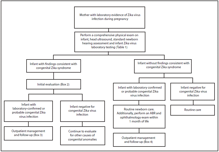 The figure above is a diagram showing recommended Zika virus testing and evaluation of infants born to mothers with laboratory evidence of Zika virus infection during pregnancy.