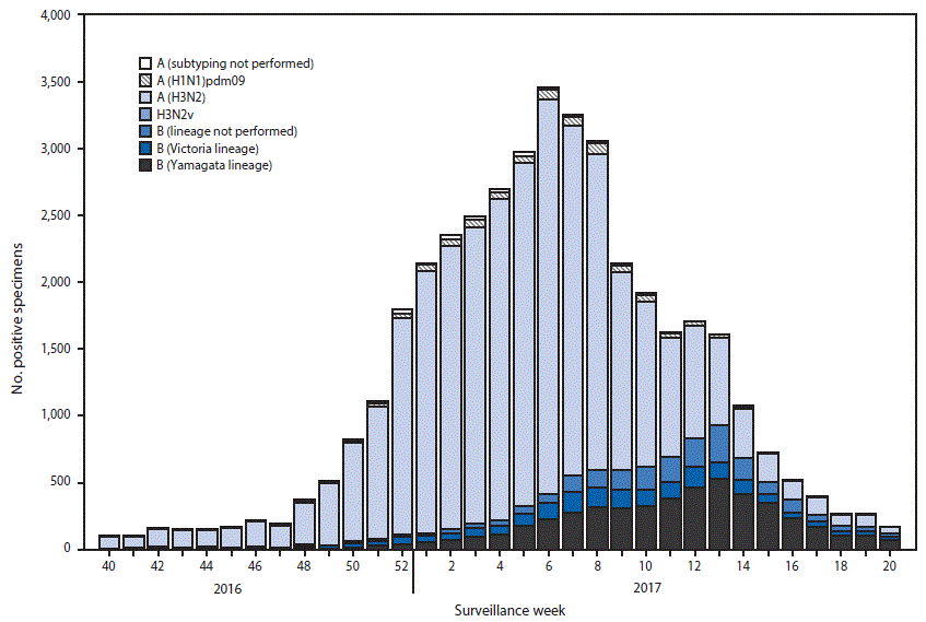 The figure above is a bar chart showing the number of respiratory specimens testing positive for influenza reported by public health laboratories in the United States during October 2, 2016–May 20, 2017, by influenza virus type, subtype/lineage, and surveillance week.