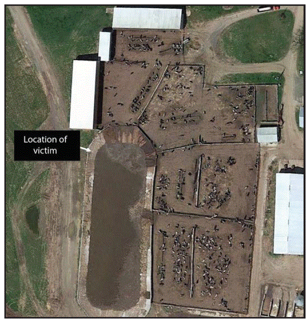 The figure above is an aerial photograph showing an open-air manure pit and site of death of a worker on a beef farm in Wisconsin in August 2016.