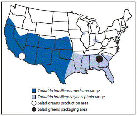 The figure above is a map of the United States showing the distribution of Tadarida brasiliensis mexicana and T. brasiliensis cynocephala bat species in areas of production and packaging of salad greens during 2017.