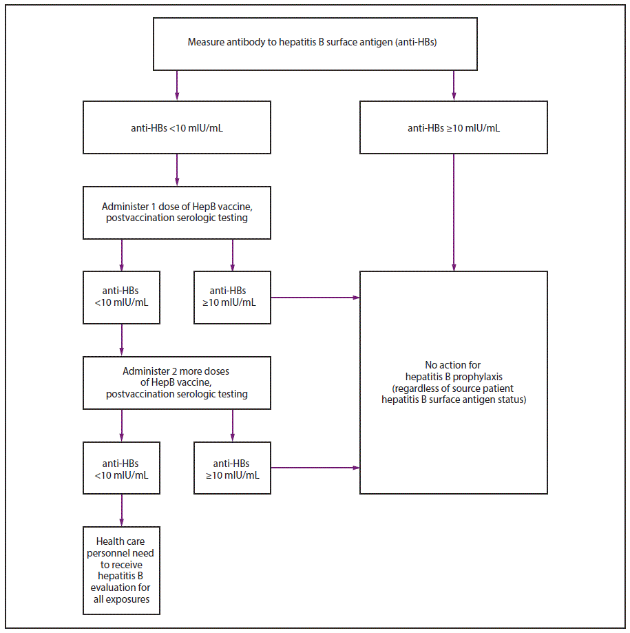 Hep B Serology Chart