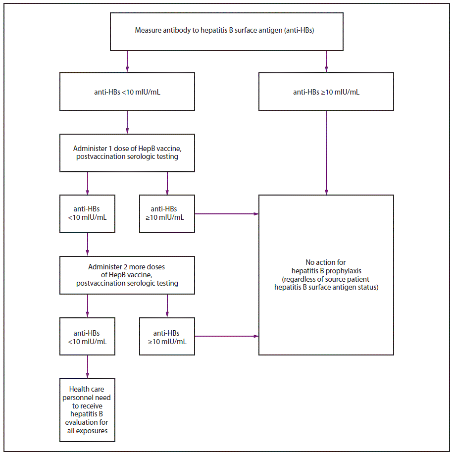The figure above shows an algorithm depicting the procedure for conducting pre-exposure evaluation for health care personnel previously vaccinated with complete, greater than or equal to 3-dose hepatitis B vaccine series who have not had postvaccination serologic testing. Such testing should be performed 1–2 months after the last dose of vaccine using a quantitative method that allows detection of the protective concentration of anti-HBs (≥10 mIU/mL) (e.g., enzyme-linked immunosorbent assay [ELISA]).