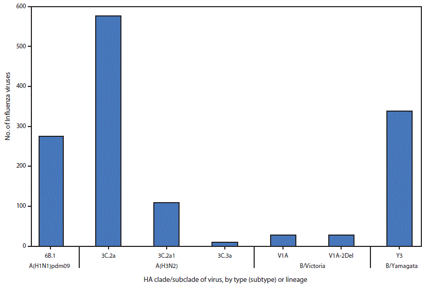 The figure above is a bar chart showing genetic characterization of viruses in the United States collected during October 1, 2017–February 3, 2018.