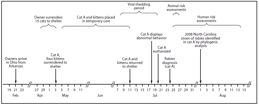 The figure is a timeline of the public health investigation of a rabid cat translocated from North Carolina to Ohio during February–August 2017.