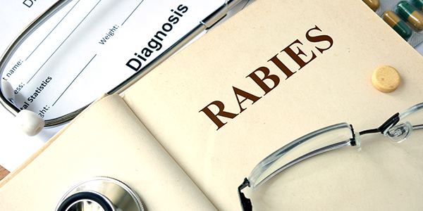 Potential Confounding of Diagnosis of Rabies in Patients with Recent ...