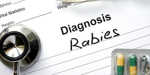 Notes from the Field: Assessment of Rabies Exposure Risk Among ...