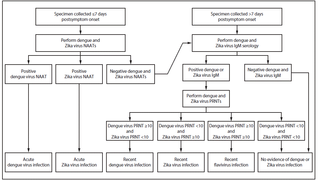 Figure illustrates dengue and Zika virus testing recommendations for nonpregnant persons with a clinically compatible illness and risk for infection with both viruses. Diagnostic testing recommendations include immunoglobulin M assays, nucleic acid amplification tests, and plaque reduction neutralization tests.