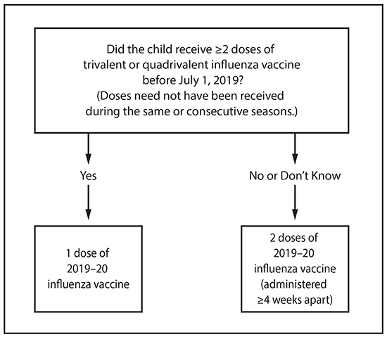 This figure is a flow chart describing the influenza vaccine dosing algorithm for children aged 6 months through 8 years for the 2019–20 influenza season in the United States. If the child has received 2 or more doses of trivalent or quadrivalent influenza vaccine before July 1, 2019 (doses need not have been given during same or consecutive seasons), the child should receive 1 dose of 2019–20 influenza vaccine. If the child has not received 2 or more doses of trivalent or quadrivalent influenza vaccine before July 1, 2019, or if it is not known whether the child has received vaccine, the child should receive 2 doses of 2019–20 influenza vaccine (administered 4 or more weeks apart). For children aged 8 years who require 2 doses of vaccine, both doses should be administered even if the child turns age 9 years between receipt of dose 1 and dose 2.