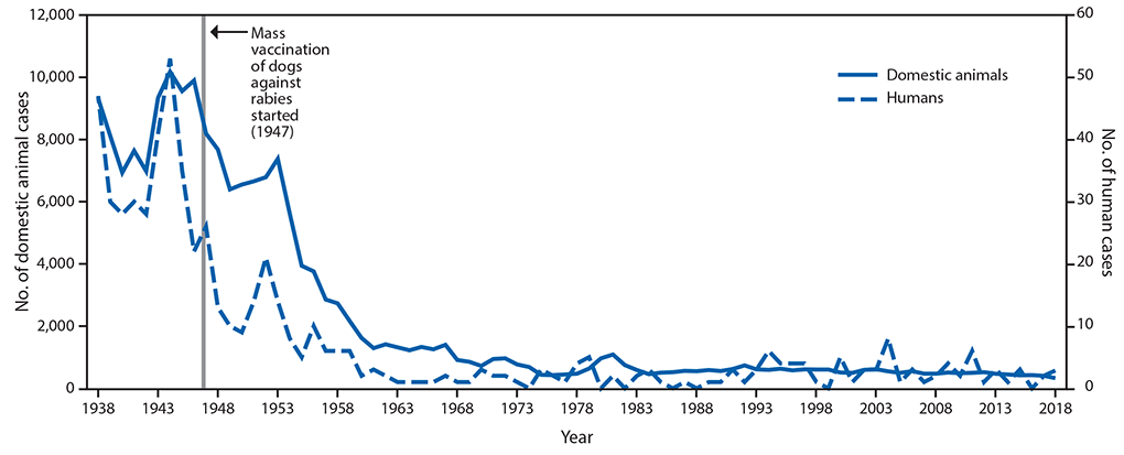 Human Deaths By Animals Chart