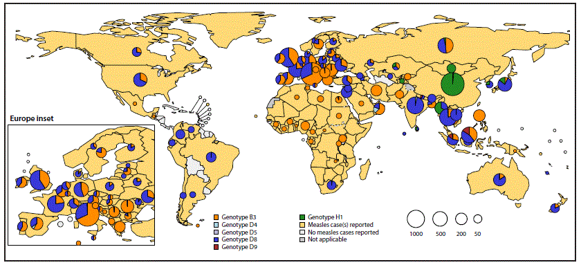 The figure is a map showing global distribution of measles virus genotypes during 2016–2018.