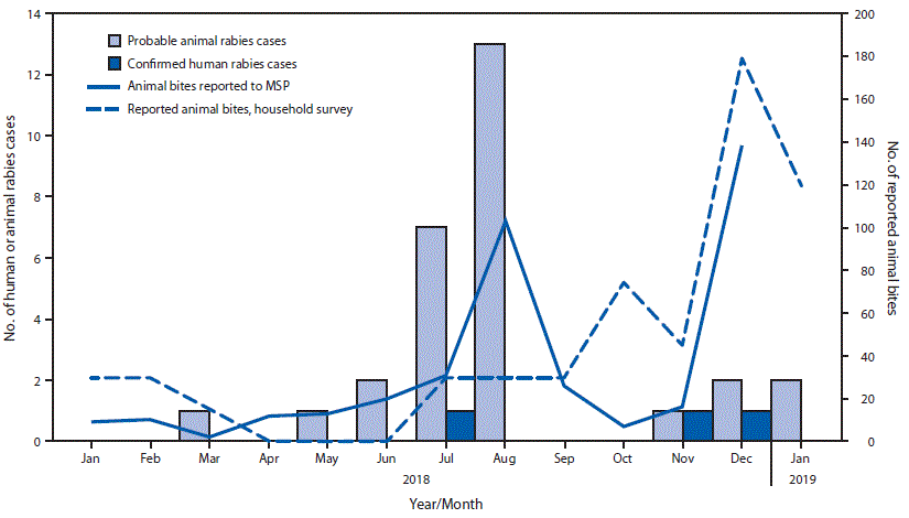 The figure is a combination bar chart and line graph showing the number of confirmed human rabies cases and probable animal rabies cases and reported animal bites in Pedernales, Dominican Republic, during January 2018–January 2019.