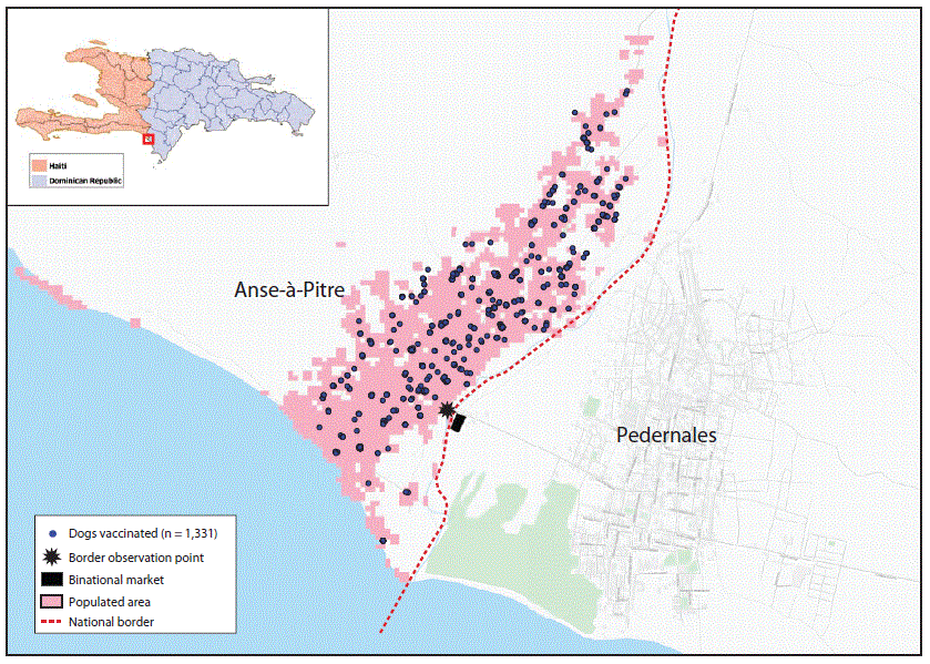 The figure is a map showing the border towns of Anse-à-Pitre, Haiti, and Pedernales, Dominican Republic, with locations of 1,331 dogs vaccinated for rabies during 2019 and the binational market and observation point used during the rabies response investigation.
