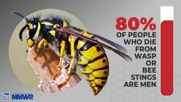The figure shows a percentage of people who die from wasp or bee stings