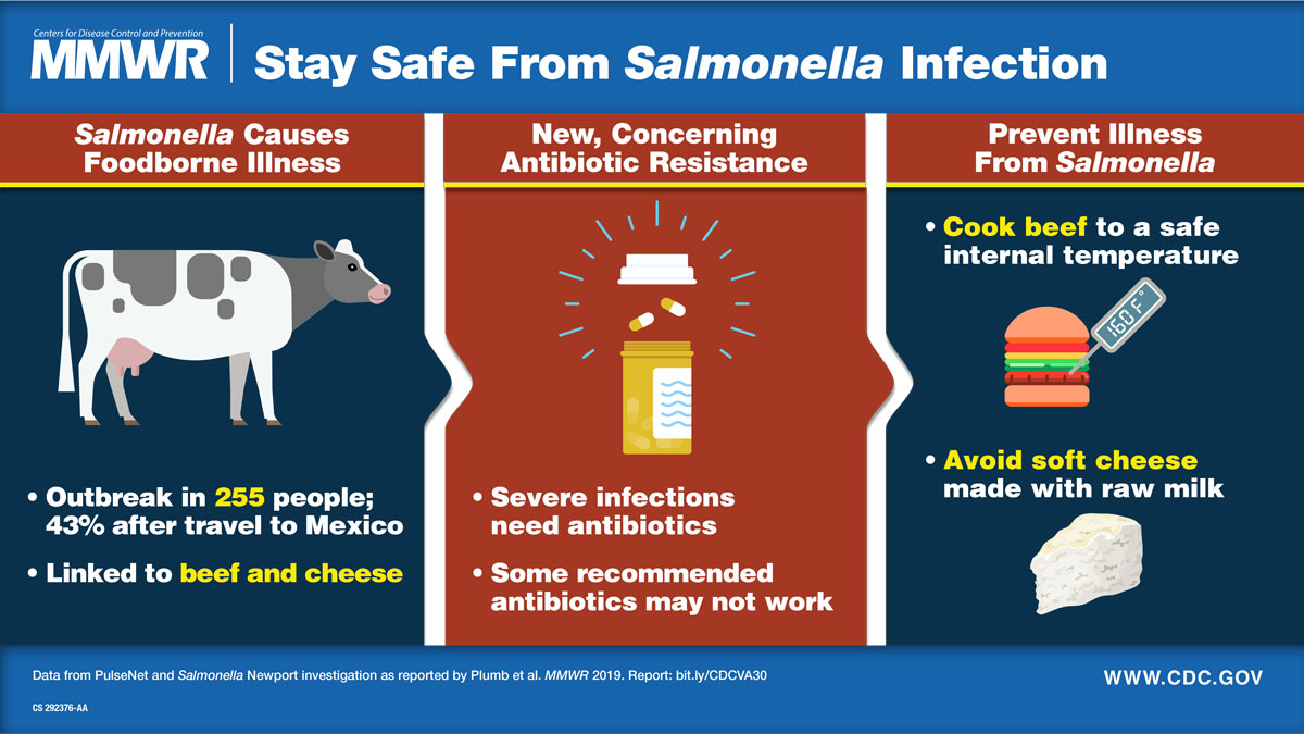The visual abstract discusses a salmonella outbreak and offers information on how to prevent illness.