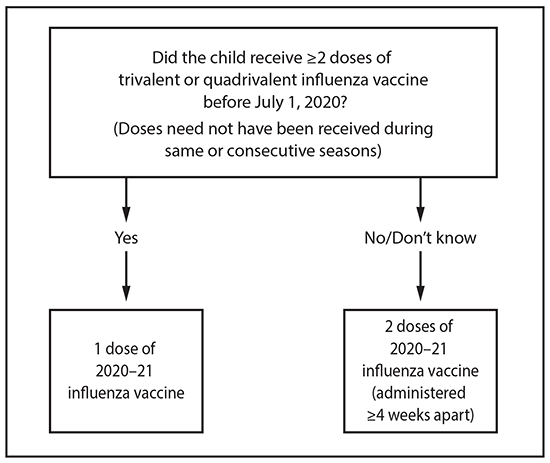 This figure is a flow chart describing the influenza vaccine dosing algorithm for children aged 6 months through 8 years for the 2020–21 influenza season in the United States. If the child has received 2 or more doses of trivalent or quadrivalent influenza vaccine before July 1, 2020 (doses need not have been given during same or consecutive seasons), the child should receive 1 dose of 2020–21 influenza vaccine. If the child has not received 2 or more doses of trivalent or quadrivalent influenza vaccine before July 1, 2020, or if it is not known whether the child has received vaccine, the child should receive 2 doses of 2020–21 influenza vaccine (administered 4 or more weeks apart). For children aged 8 years who require 2 doses of vaccine, both doses should be administered even if the child turns age 9 years between receipt of dose 1 and dose 2.