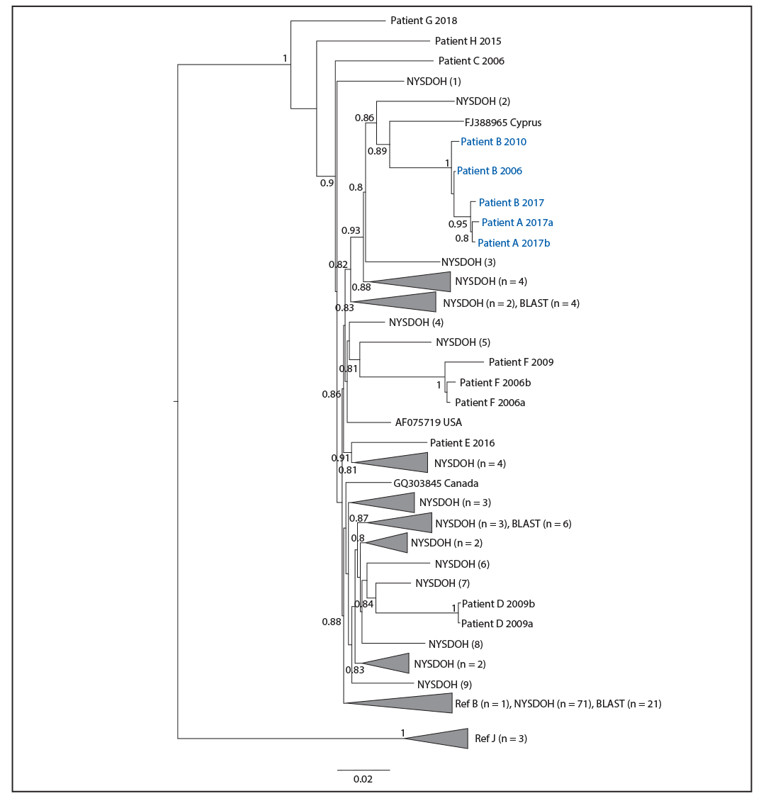 The figure is a phylogenetic tree showing high confidence that HIV sequences for patients A and B were related, indicating presumptive health care–associated transmission.