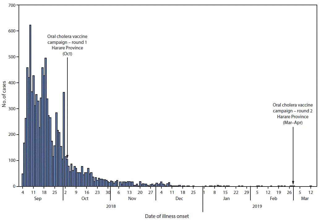 The figure is a histogram, an epidemiologic curve showing the number of suspected and confirmed cholera cases in Zimbabwe during September 2018–March 2019. 