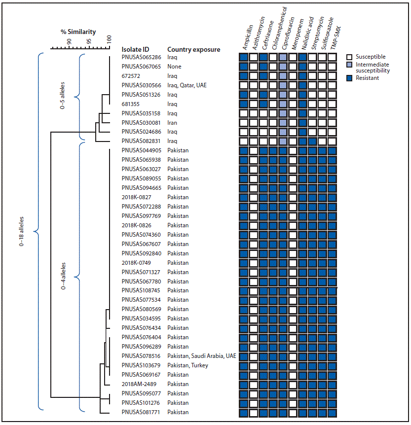 The figure is a core genome multilocus sequence typing phylogenetic tree of 39 Salmonella Typhi isolates from two strains with ceftriaxone resistance among persons with travel to Iran, Iraq, and Pakistan in the United States and United Kingdom during 2017–2019.