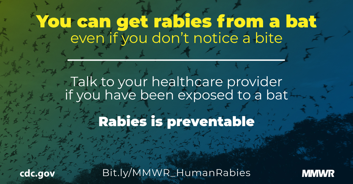 Human Rabies — Utah, 2018 | MMWR