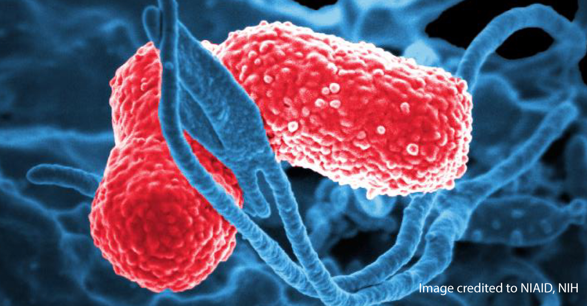 Notes from the Field Carbapenemresistant Klebsiella pneumoniae with