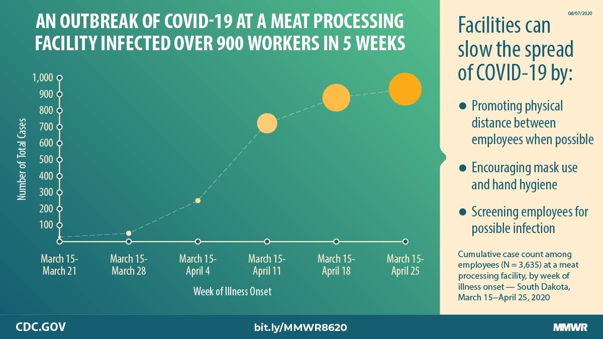 The figure is a line graph with text about an outbreak of COVID-19 at a meat processing facility.