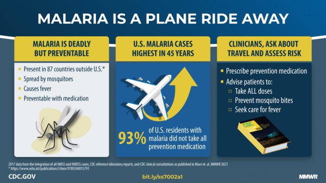 The figure is a graphic describing risk and prevention measures for malaria during travel. 