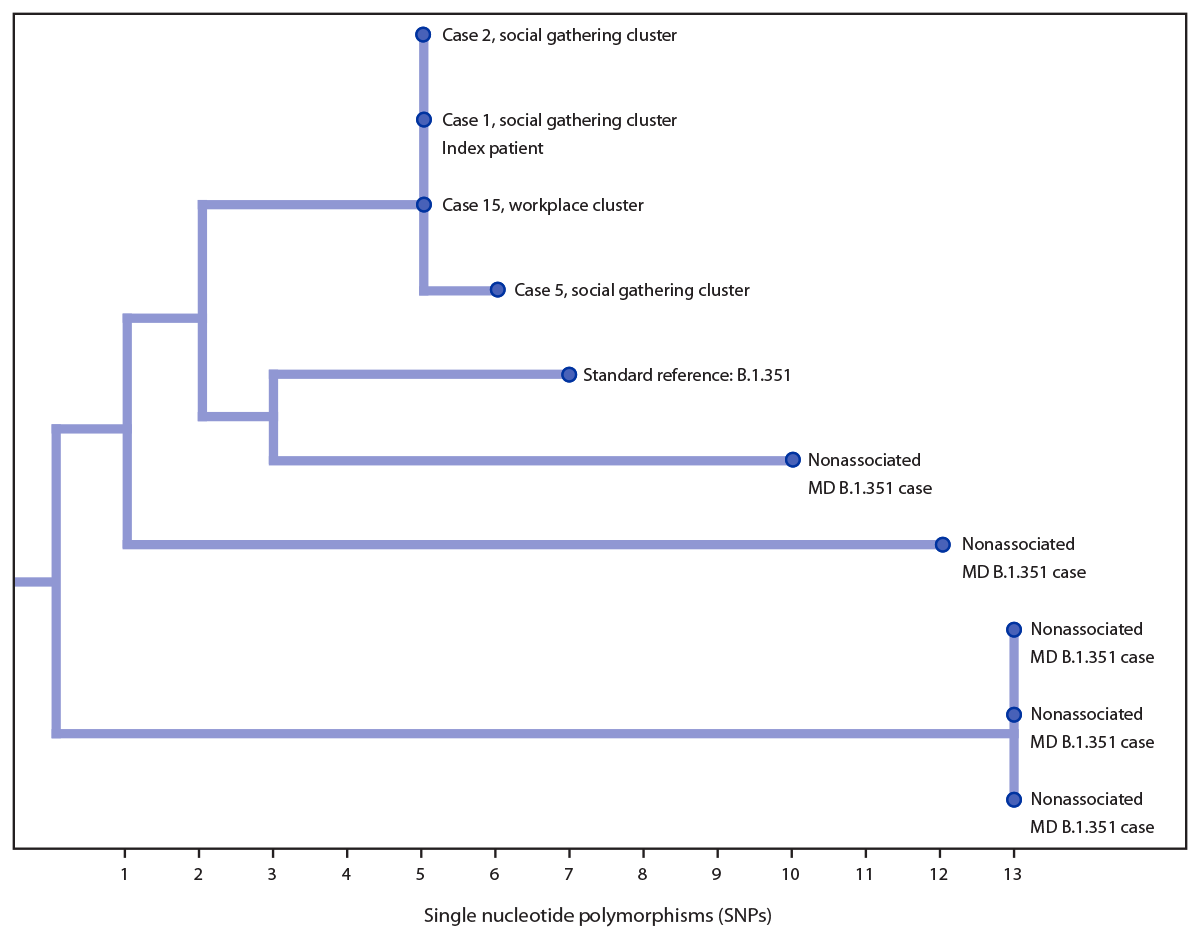 The figure is a diagram of a phylogenetic tree of four investigation-associated B.1.351 lineage specimens and five other non–investigation-associated B.1.351 specimens sequenced during January–February 2021, from patients who were residents of Maryland.