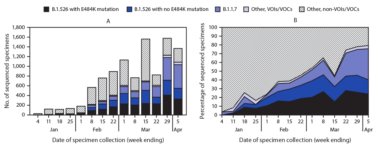 This two-part figure includes a bar graph and line graph showing, by week, the total number of specimens undergoing whole genome sequencing in New York City, New York, during January 1–April 5, 2021, and the percentage of specimens with the B.1.1.7 variant, the B1.526 variant with or without the E484K mutation, and other variants of concern.