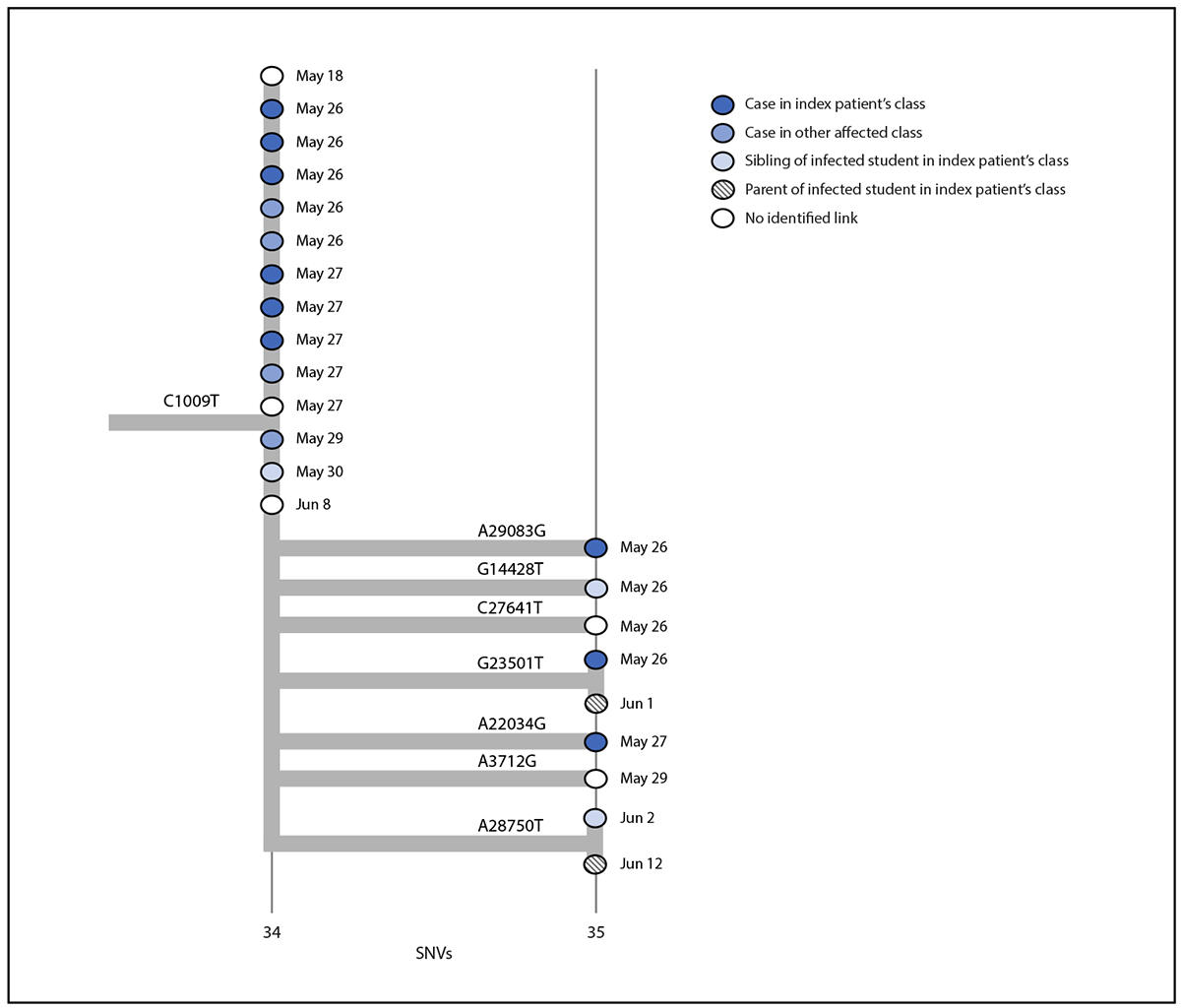 Figure is a phylogenetic tree of SARS-CoV-2 whole genome sequences and specimen collection dates from a COVID-19 outbreak in an elementary school in Marin County, California, during May–June 2021.