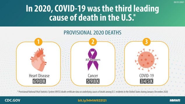 This graphic describes provisional U.S. 2020 deaths and leading causes of death.
